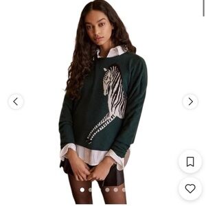 Anthropologie Green Zebra Sweater